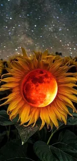 Sunflower with red moon set against a starry night sky wallpaper.