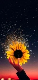 Sunflower glowing in night sky, held in hand.