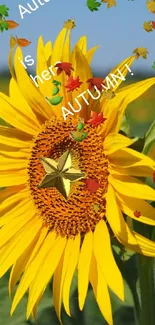 Sunflower field with autumn text overlay.