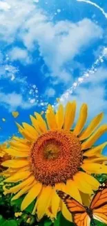 Vibrant sunflower and butterfly under a blue sky wallpaper.