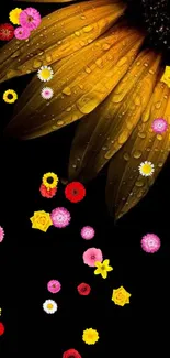 Close-up of a yellow sunflower with dew drops on a dark background.