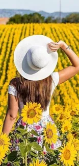 A woman in a hat stands in a vibrant sunflower field under a clear sky.