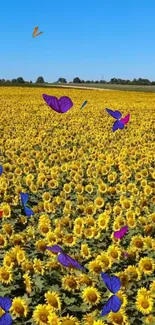 Field of sunflowers with vibrant butterflies under a clear blue sky.