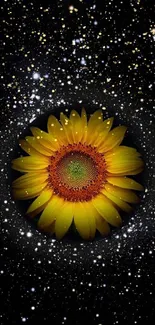 Yellow sunflower centered in a galaxy and starry background design.