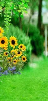 Wallpaper with sunflowers and a lush green garden.