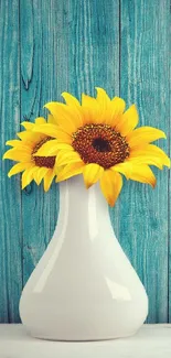 Sunflower in a white vase on blue wood wallpaper.