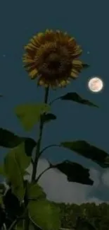 Sunflower under a starry night sky with moon.