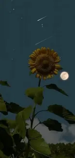 Sunflower silhouetted against a moonlit starry night sky.