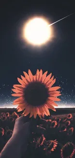 Sunflower held under a moonlit sky with glowing stars.