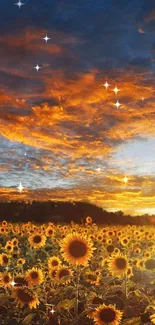 Sunset over sunflower field with a starry sky.