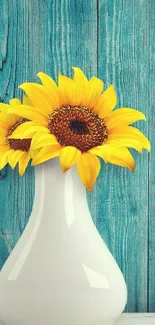 Vibrant sunflowers in a vase on teal wood wall.