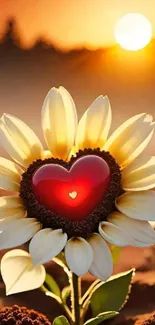 Sunflower with heart center at sunset, glowing ambiance.