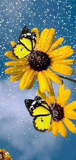 Two bright yellow sunflowers with butterflies against a blue sky.