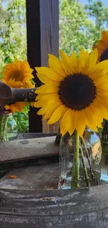 Sunflowers in vases on a rustic table, evoking a vintage feel.