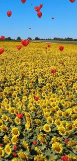 Sunflower field with floating red hearts under a clear blue sky.