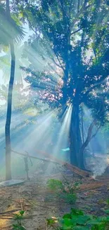 Sun rays filtering through green forest trees, creating a serene atmosphere on a sunny day.