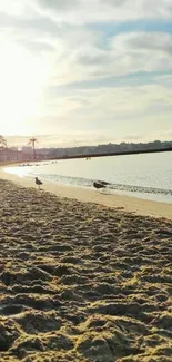 Tranquil beach at sunrise with gentle waves and serene sky.