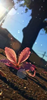 Sunlit flower on ground under tree with vibrant blue sky.