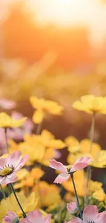 Sunlit pink and yellow flowers in vibrant nature wallpaper.