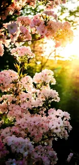 Sunlit blossoms in lush greenery, perfect for nature lovers.