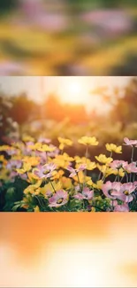 Sunlit field of pink and yellow flowers in a serene setting.