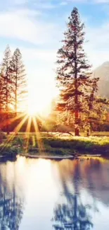 Sunlit forest and lake with reflection at sunrise.