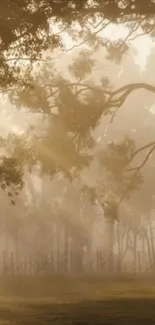 Peaceful sunlit forest with mist and trees in warm tones.