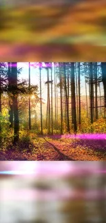 Sunlit forest path with vibrant autumn colors and tall trees.