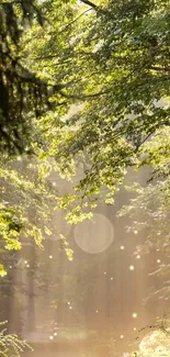 Wallpaper of a sunlit forest path with lush green leaves and serene ambiance.