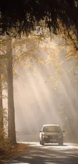 Car on a sunlit forest road with beams filtering through trees.