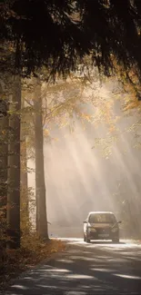 Car driving through sunlit forest road with autumn colors.