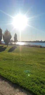 Serene lakeside landscape with sunlit greenery.