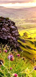 Sunlit green meadow with purple wildflowers and scenic landscape.