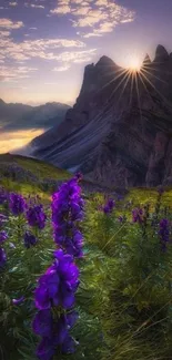 Sunrise over mountains with purple flowers in the foreground.