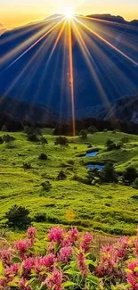 Sunlit mountain landscape with green hills and wildflowers.