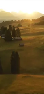 Sunlit mountain valley with lush greenery and warm light.