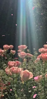 Sunlit pink flowers in a vibrant garden scene.