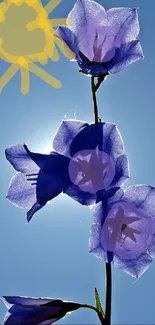 Purple flowers and a sun drawn on a blue sky background.