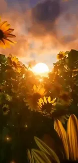 Golden sunflowers basking in sunset glow, creating a serene natural scene.