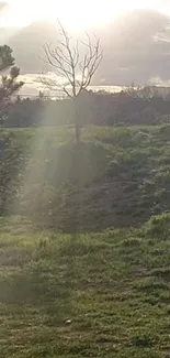 Serene sunset casting golden rays over green hills.