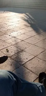 Sunlit urban walkway with shadows from trees and two shoes in view.