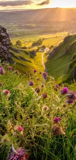 Sunlit valley with wildflowers and distant hills.