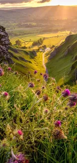 Sunlit valley with spring flowers and lush greenery in a scenic nature view.