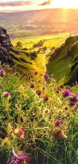 Sunlit valley with wildflowers in green landscape.