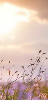 Delicate wildflowers under a sunlit, pastel sky.