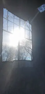 Sunlight streaming through rustic window with tree silhouettes.