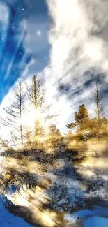 Sunlit winter forest with snow and trees.