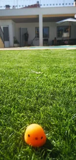 Cheerful orange smiley ball on lush green grass in a sunny backyard.