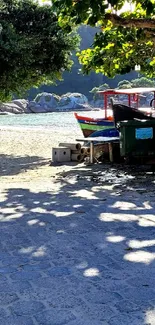 Boats on a sunny beach with trees in the background.