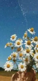 A bouquet of daisies held against a vibrant blue sky backdrop.